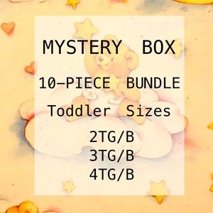 ❤️📦⬇️Toddler 4 4T Girl Mystery 10 Piece Box